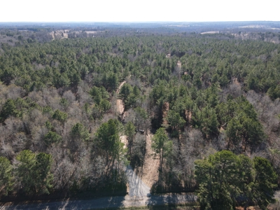 Land for Sale for sale in Gilmer, Texas - image 22