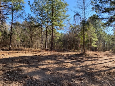 Land for Sale for sale in Gilmer, Texas - image 5