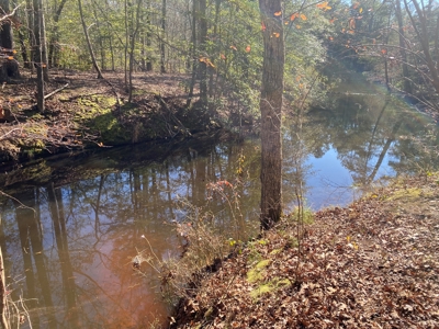 Land for Sale for sale in Gilmer, Texas - image 18