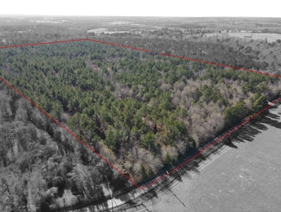 Land for Sale for sale in Gilmer, Texas - image 10