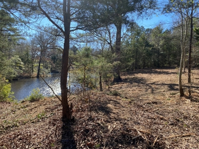 Land for Sale for sale in Gilmer, Texas - image 1