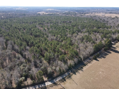Land for Sale for sale in Gilmer, Texas - image 4