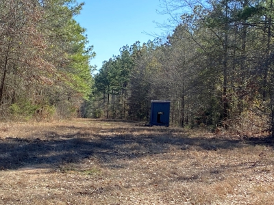 Land for Sale for sale in Gilmer, Texas - image 6