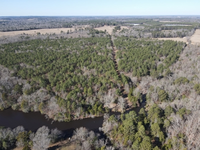Land for Sale for sale in Gilmer, Texas - image 24