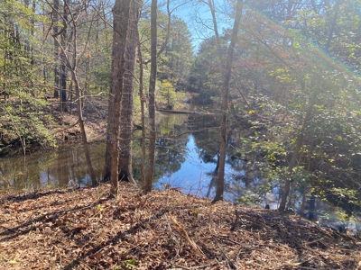 Land for Sale for sale in Gilmer, Texas - image 17