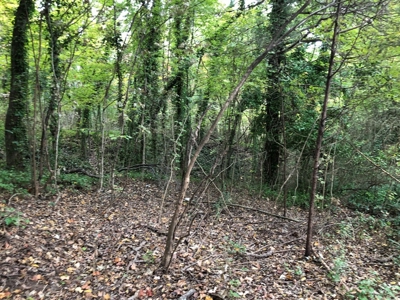 Investment Opportunity In Clarksville, VA - image 5