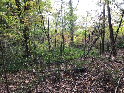 Investment Opportunity In Clarksville, VA - image 6