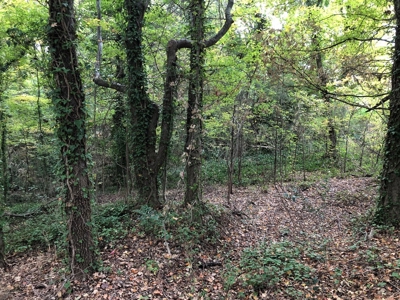 Investment Opportunity In Clarksville, VA - image 7