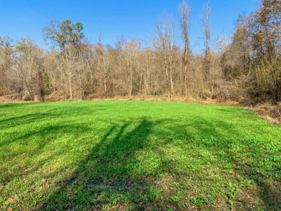 Hunting Land and Camp for Sale in Claiborne County, MS - image 3