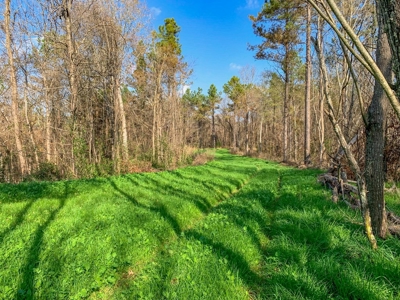 Hunting Land and Camp for Sale in Claiborne County, MS - image 10