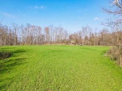 Hunting Land and Camp for Sale in Claiborne County, MS - image 34
