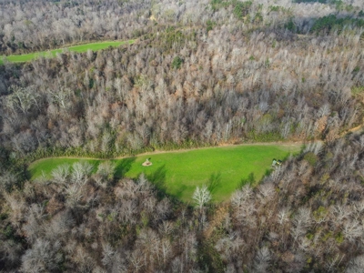 Hunting Land and Camp for Sale in Claiborne County, MS - image 8