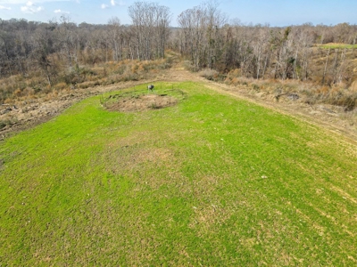 Hunting Land and Camp for Sale in Claiborne County, MS - image 41