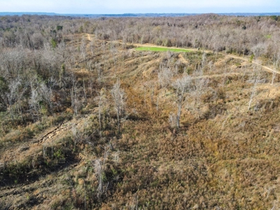 Hunting Land and Camp for Sale in Claiborne County, MS - image 44