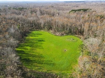 Hunting Land and Camp for Sale in Claiborne County, MS - image 40