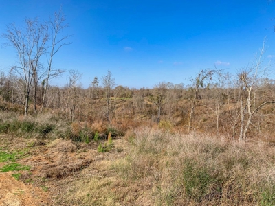 Hunting Land and Camp for Sale in Claiborne County, MS - image 27