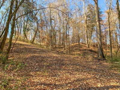 Hunting Land and Camp for Sale in Claiborne County, MS - image 6