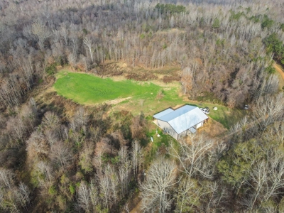 Hunting Land and Camp for Sale in Claiborne County, MS - image 2