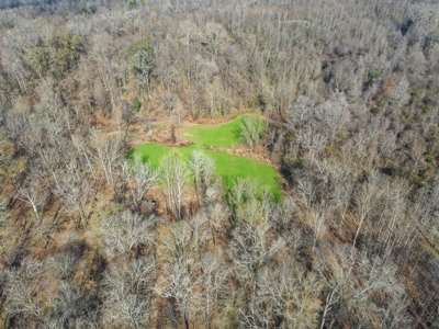 Hunting Land and Camp for Sale in Claiborne County, MS - image 37