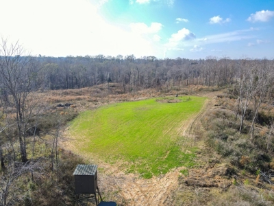 Hunting Land and Camp for Sale in Claiborne County, MS - image 46