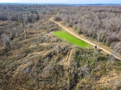 Hunting Land and Camp for Sale in Claiborne County, MS - image 12