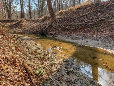 Hunting Land and Camp for Sale in Claiborne County, MS - image 28