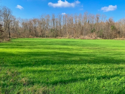 Hunting Land and Camp for Sale in Claiborne County, MS - image 26