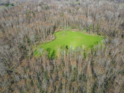 Hunting Land and Camp for Sale in Claiborne County, MS - image 43