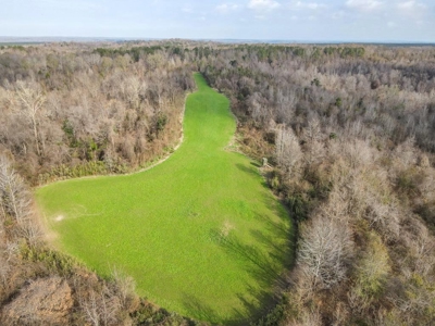 Hunting Land and Camp for Sale in Claiborne County, MS - image 1
