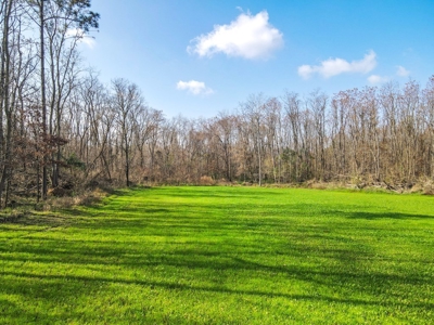 Hunting Land and Camp for Sale in Claiborne County, MS - image 36