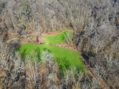 Hunting Land and Camp for Sale in Claiborne County, MS - image 38