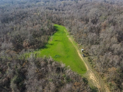 Hunting Land and Camp for Sale in Claiborne County, MS - image 35