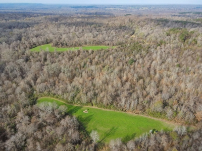 Hunting Land and Camp for Sale in Claiborne County, MS - image 30