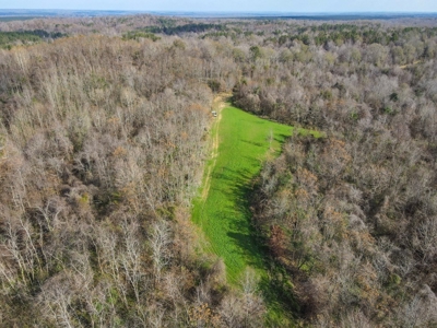 Hunting Land and Camp for Sale in Claiborne County, MS - image 31