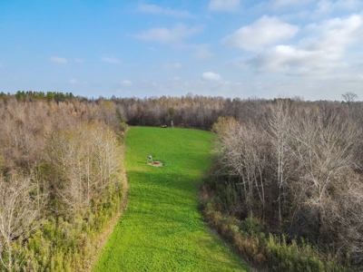 Hunting Land and Camp for Sale in Claiborne County, MS - image 11