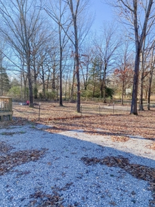 Country Home Close to Mountain View AR - image 11