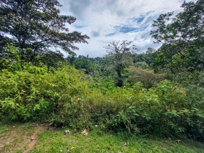 Pick Your Own Parcel! Titled Lots, Isla Colon - image 3