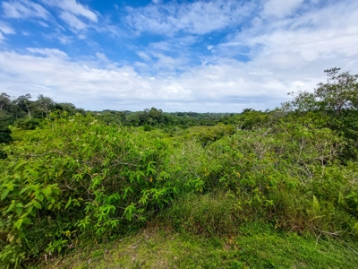 Pick Your Own Parcel! Titled Lots, Isla Colon - image 5