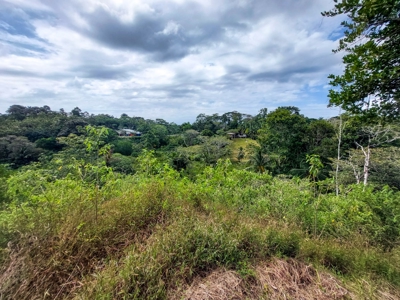 Pick Your Own Parcel! Titled Lots, Isla Colon - image 9