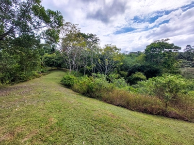 Pick Your Own Parcel! Titled Lots, Isla Colon - image 7