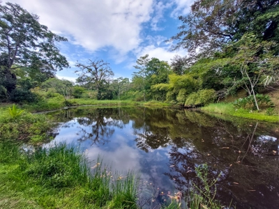 Pick Your Own Parcel! Titled Lots, Isla Colon - image 2
