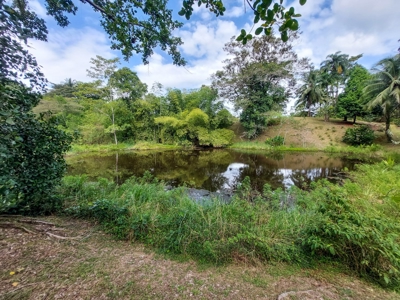 Pick Your Own Parcel! Titled Lots, Isla Colon - image 1