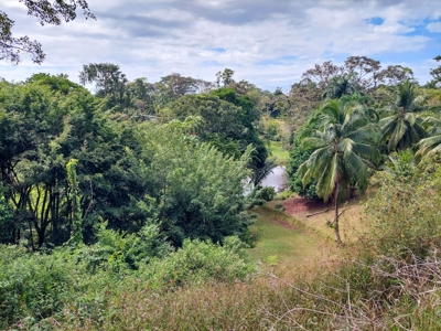 Pick Your Own Parcel! Titled Lots, Isla Colon - image 8