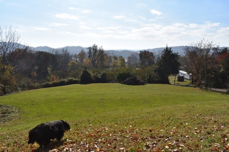 Cherokee Lake View Home in Bean Station, TN For Sale - image 2