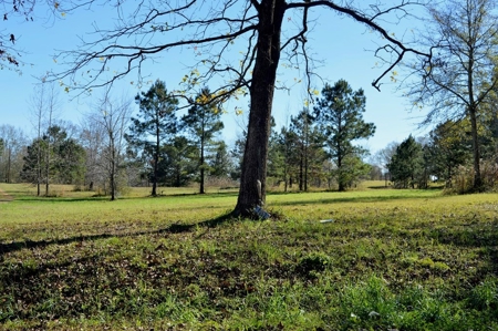 Golf Course Lot for Sale Southwest Mississippi - image 3
