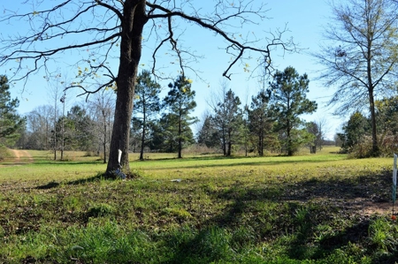 Golf Course Lot for Sale Southwest Mississippi - image 4