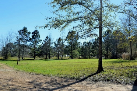 Golf Course Lot for Sale Southwest Mississippi - image 1