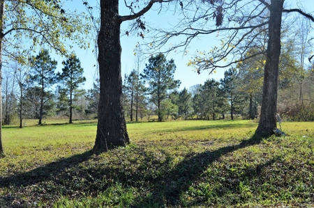Golf Course Lot for Sale Southwest Mississippi - image 2