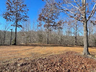 Unrestricted Land With Building For Sale In Hardin County - image 35