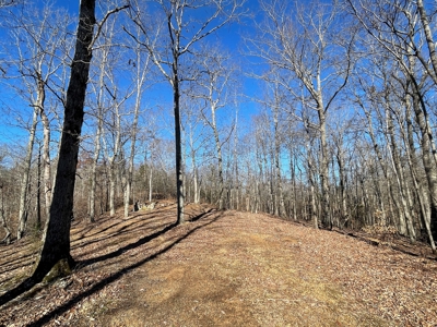 Unrestricted Land With Building For Sale In Hardin County - image 38